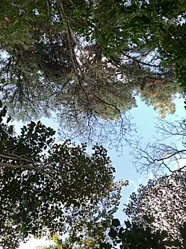 Snapshot of _PhillipBrown chatting on 10, 9, 2025 PhillipBrown online show from 10, 9, 2025