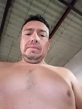 strip 1212 online show from 27, 11, 2025