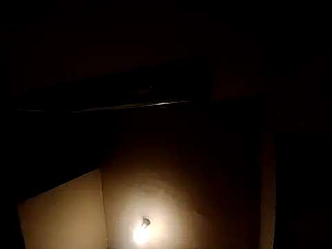 lavancaafiada online show from 5, 4, 2026