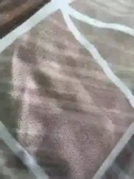 rohitlov150 online show from 16, 3, 2026