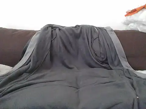Snapshot of CitizenDick chatting on 29, 4, 2026 CitizenDick online show from 29, 4, 2026