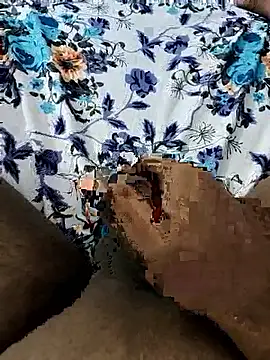 Mallu Curator online show from 9, 11, 2025