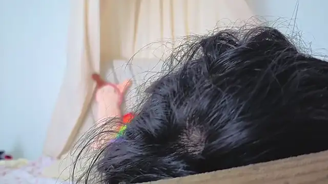 Snapshot of Katiaflex chatting on 2, 3, 2026 Katiaflex online show from 2, 3, 2026