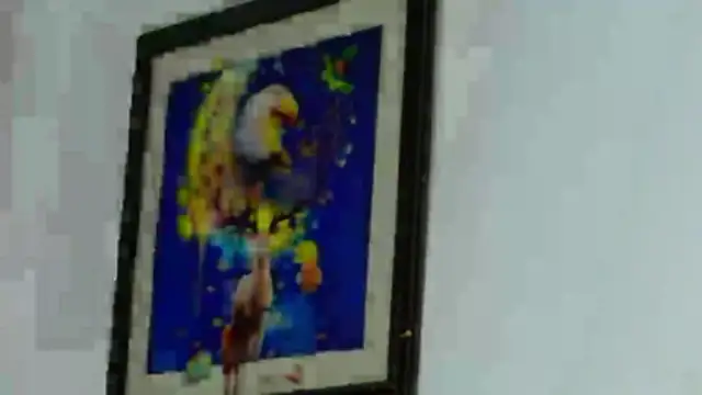 Snapshot of Sexy_Alejandro_ chatting on 16, 6, 2026 Sexy Alejandro online show from 16, 6, 2026