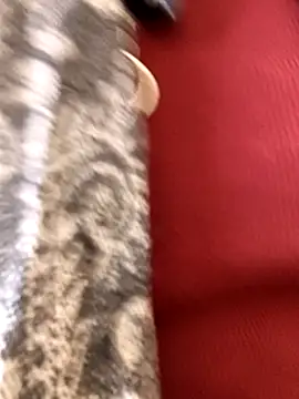 Ananya 34 online show from 3, 12, 2025