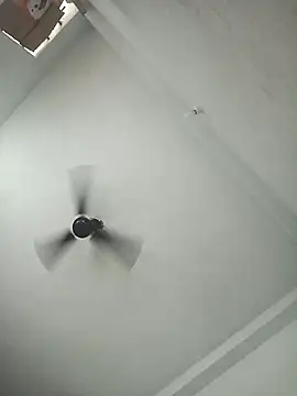 pintuS40 online show from 6, 11, 2025