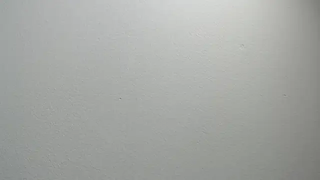 sussy leon online show from 11, 2, 2025