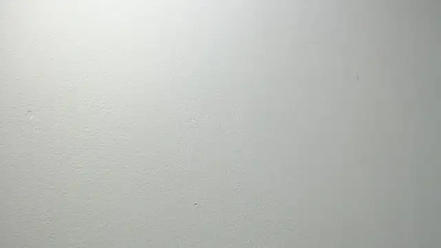 sussy leon online show from 20, 2, 2025