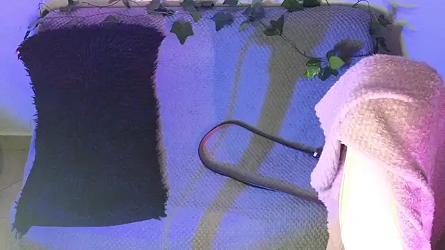 Alahia7demon online show from 9, 2, 2026