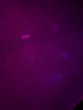 Alahia7demon online show from 22, 3, 2026