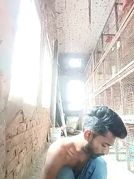 Snapshot of NICK_IN chatting on 2, 12, 2024 NICK IN online show from 2, 12, 2024