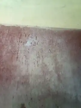 riteshika online show from 23, 4, 2026