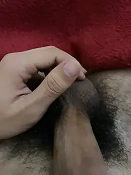 dzpoweralg online show from 15, 12, 2025