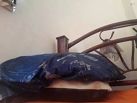 Snapshot of _afrodita_sex chatting on 10, 2, 2025 afrodita sex online show from 10, 2, 2025