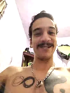 gatobranco001 online show from 5, 3, 2025