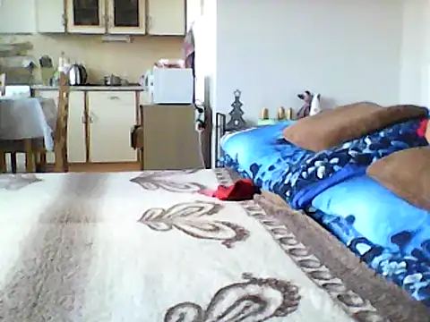 Lisak951 online show from 11, 12, 2024