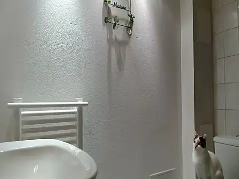 Lauzo21 online show from 20, 3, 2026