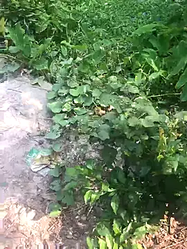 GapingConker online show from 9, 11, 2025