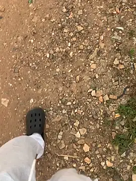 Snapshot of Black_mamba_madingo chatting on 11, 12, 2024 Black mamba madingo online show from 11, 12, 2024