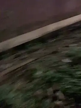 Snapshot of Black_mamba_madingo chatting on 17, 1, 2025 Black mamba madingo online show from 17, 1, 2025