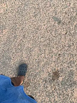 Snapshot of Black_mamba_madingo chatting on 30, 1, 2025 Black mamba madingo online show from 30, 1, 2025