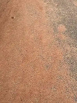 Snapshot of Black_mamba_madingo chatting on 20, 3, 2025 Black mamba madingo online show from 20, 3, 2025