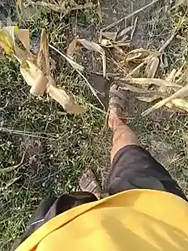 Piyush 2024 online show from 23, 3, 2026