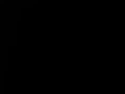 torilux online show from 18, 12, 2024