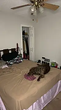 torilux online show from 25, 2, 2025