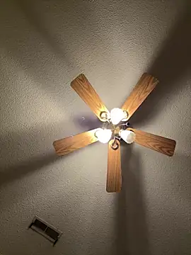 torilux online show from 28, 2, 2025