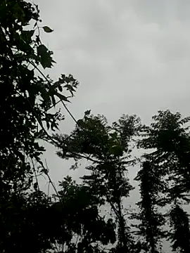 Snapshot of kumaricapalsex2 chatting on 27, 1, 2025 kumaricapalsex2 online show from 27, 1, 2025