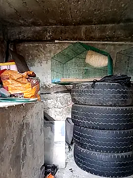 Elvishcassie  online show from 1, 10, 2025