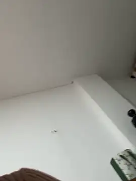 Snapshot of siri_duque chatting on 7, 1, 2026 siri duque online show from 7, 1, 2026