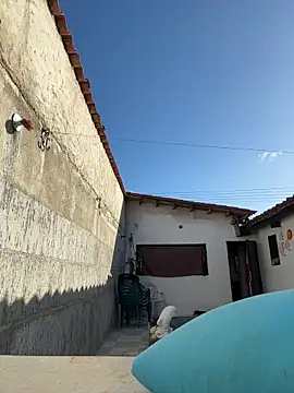 Leo bunny hot online show from 13, 12, 2025