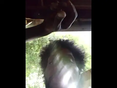 DevinToore online show from 5, 4, 2026