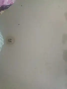 DevinToore online show from 11, 4, 2026