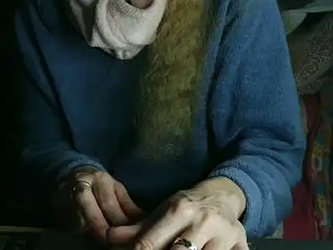 VeneRed online show from 2, 3, 2026