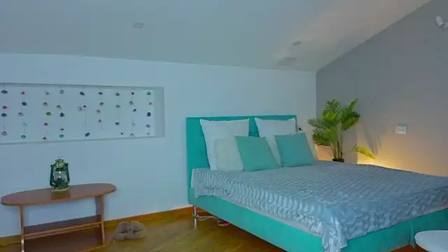 L1ittle kitty  online show from 24, 2, 2026