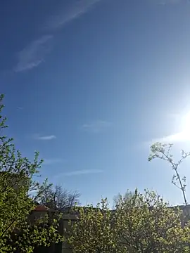 CeriseLapine online show from 28, 3, 2026