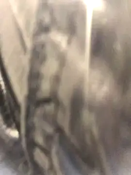 Diamond Bunny  online show from 24, 9, 2025