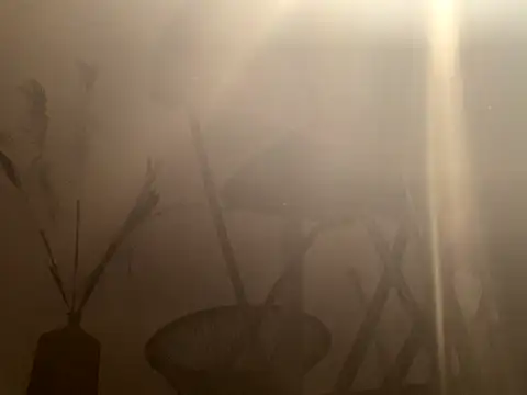 mesetti online show from 8, 12, 2024