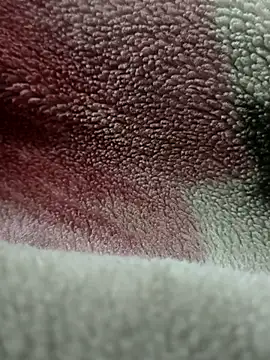 Anamika Kapoor online show from 27, 11, 2025