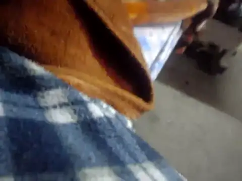 licalo56 online show from 12, 1, 2026