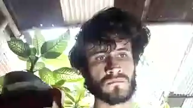 Loggan donnelly online show from 24, 10, 2025