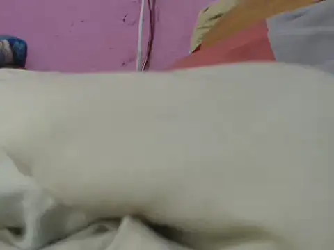 Snapshot of Cheliafun chatting on 29, 6, 2026 Cheliafun online show from 29, 6, 2026