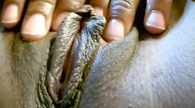 MTLD7 online show from 25, 12, 2024