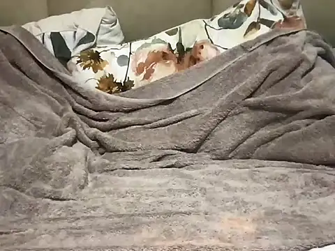 pe netrad0r online show from 29, 3, 2026