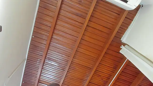 Aleja arango1 online show from 21, 3, 2025