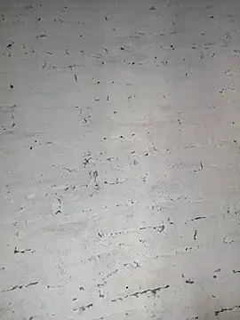 Y4NcA online show from 28, 9, 2025