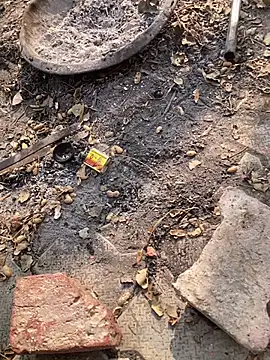 satrr xxx online show from 27, 11, 2025